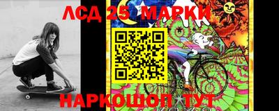 скорость Донской